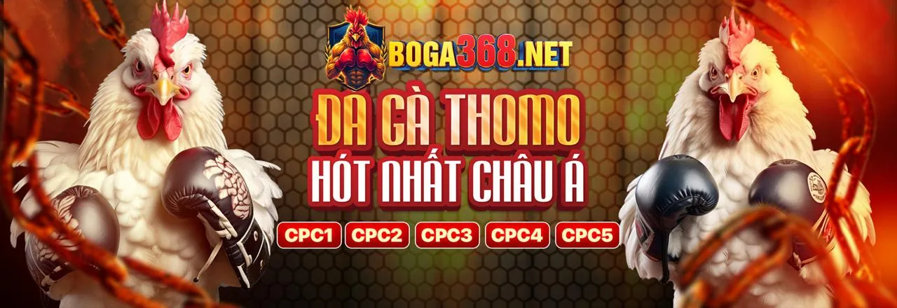 Bí quyết chơi đá gà J88VIP1 luôn thắng